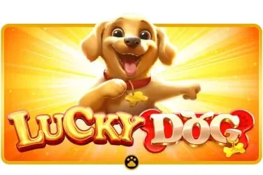 888com Slots, Live Tables and Your Betslip On the Go